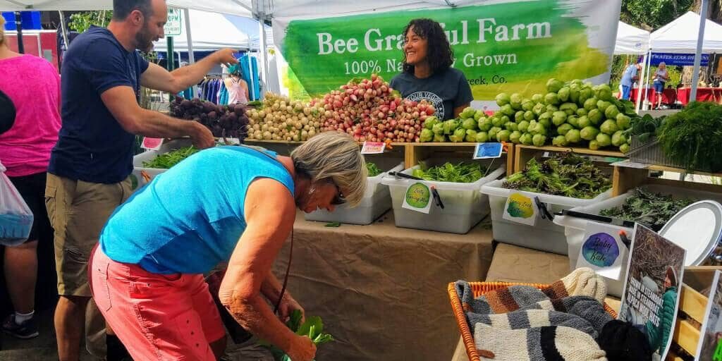 Local Farmer's Market in Steamboat Springs