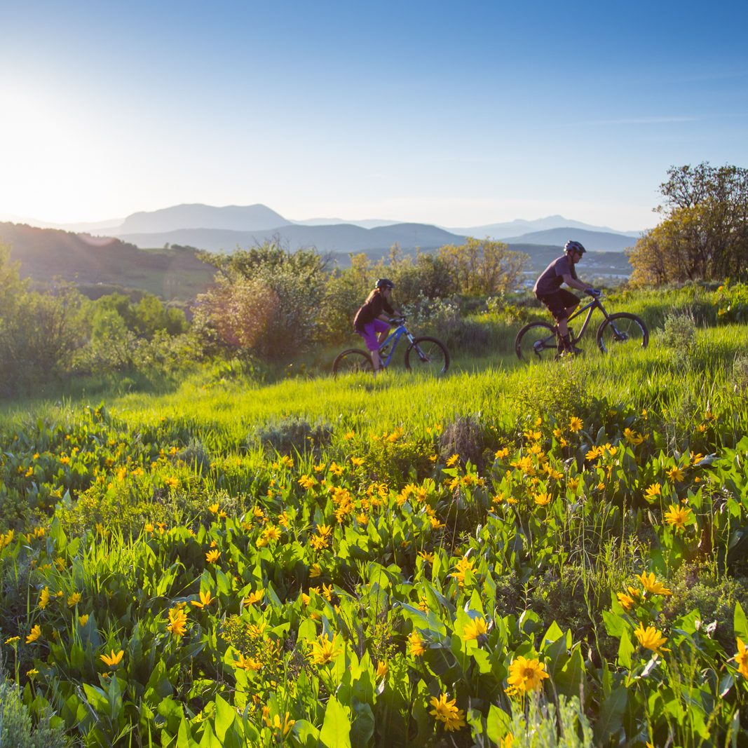 Mountain biking through meadow on steamboat mountain