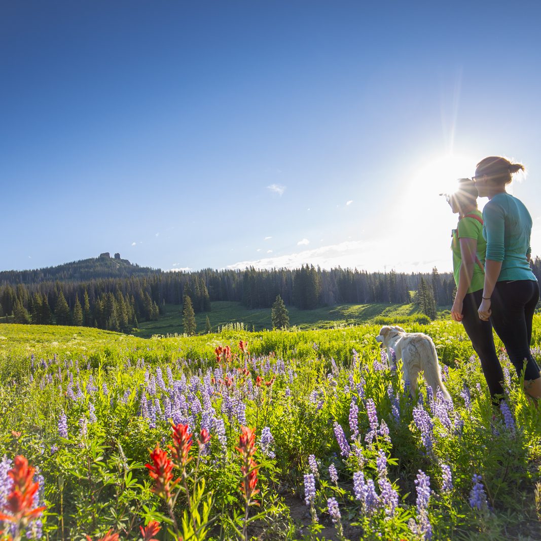 Two ladies walking in Yampa Valley meadow with dog during spring